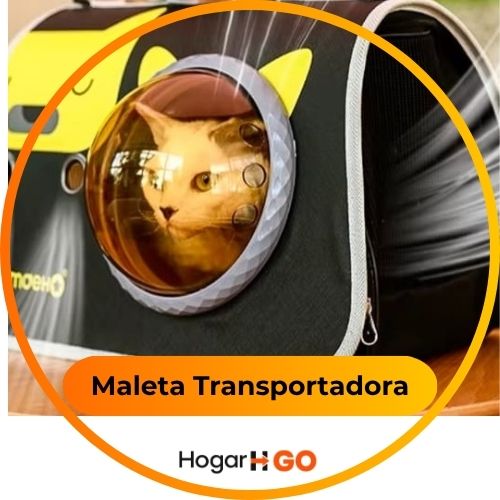 Maleta Transportadora